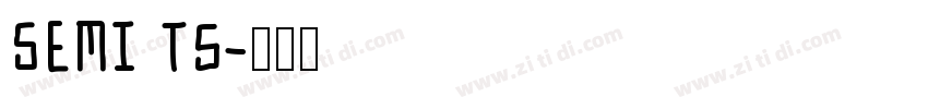 SEMI T5字体转换